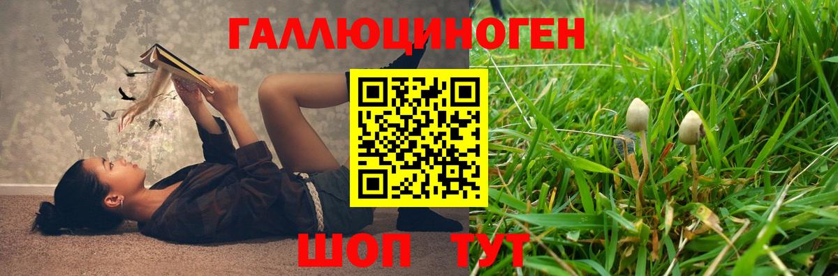 Галлюциногенные грибы ЛСД Таганрог