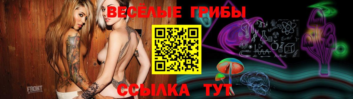 Псилоцибиновые грибы Psilocybine cubensis  Вход с VPN  Таганрог 